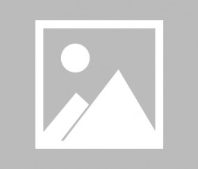 AG体育-包含队员表现：球队新秀在家练习展现实力的词条